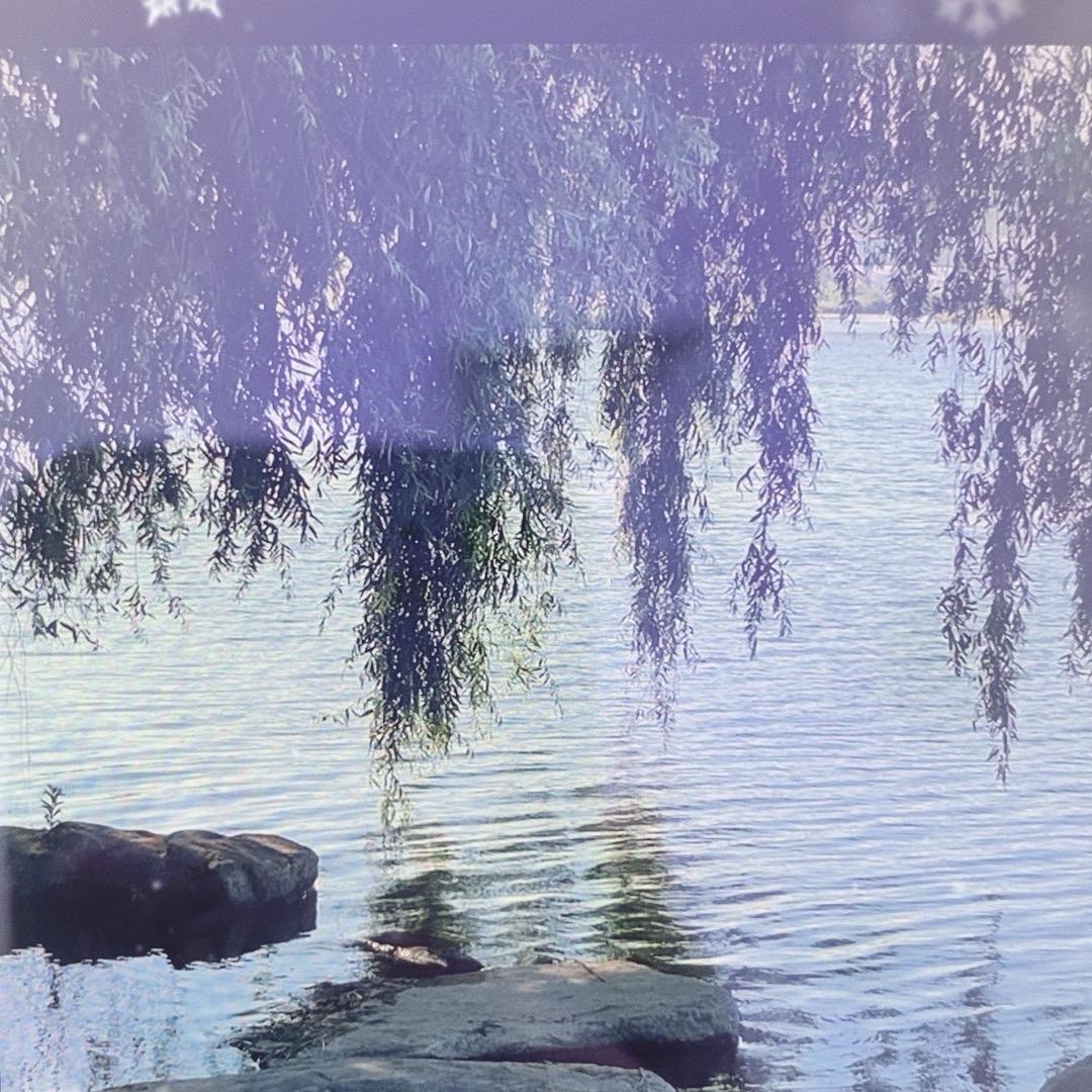 罐子村王满银✨