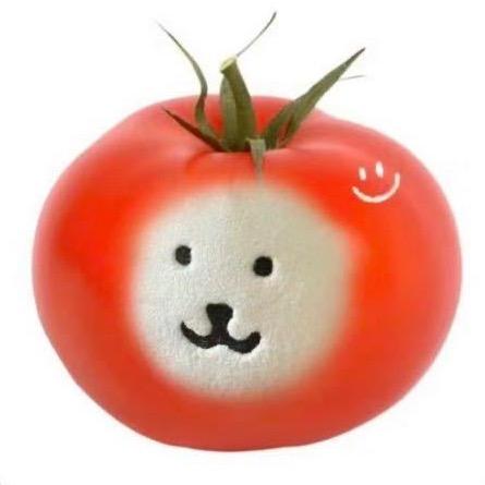 西紅柿炒番茄🍅