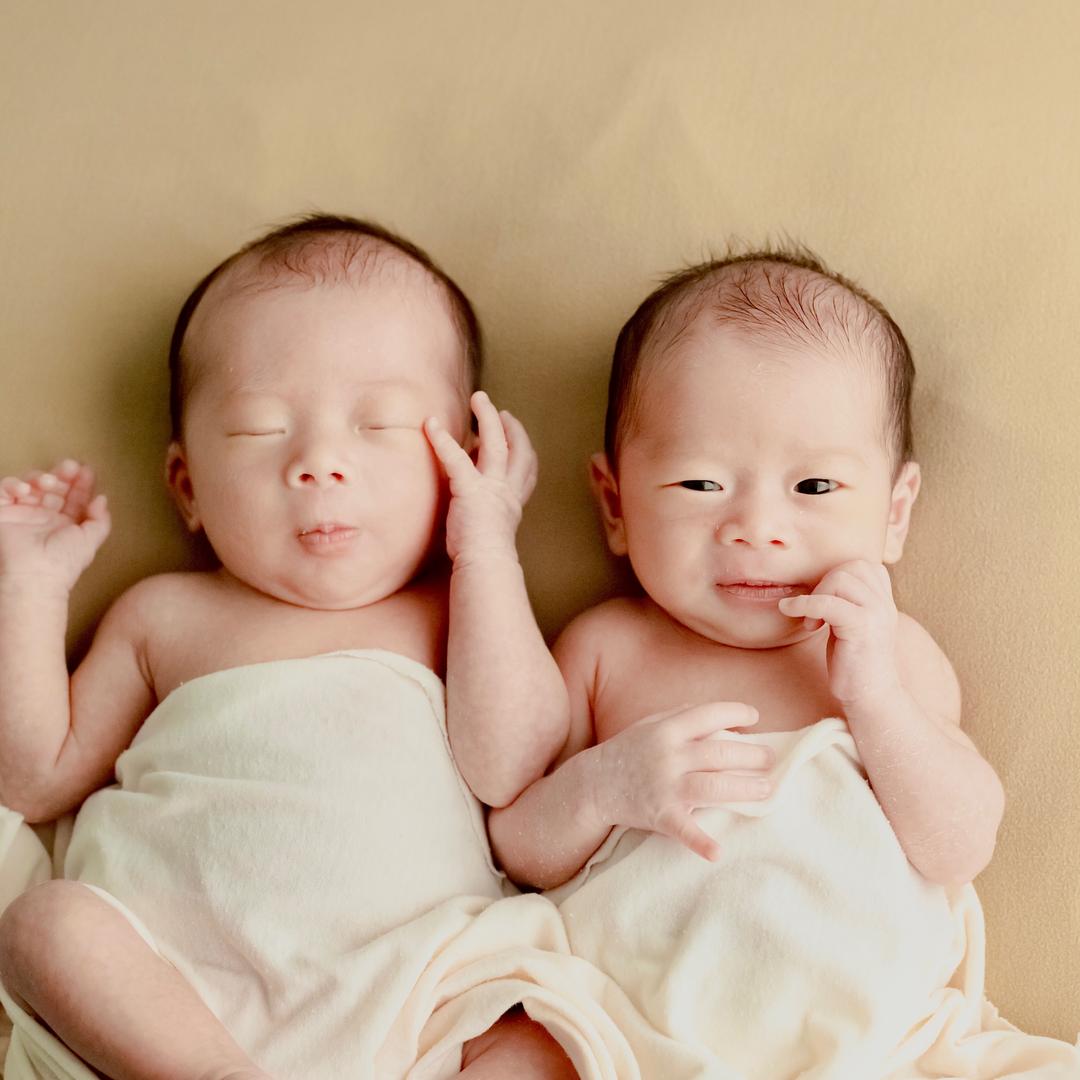 桑大桑二(双胞胎)