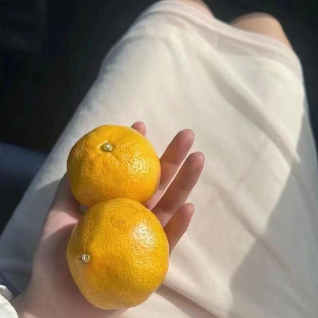 苍蝇是蚊子♥️