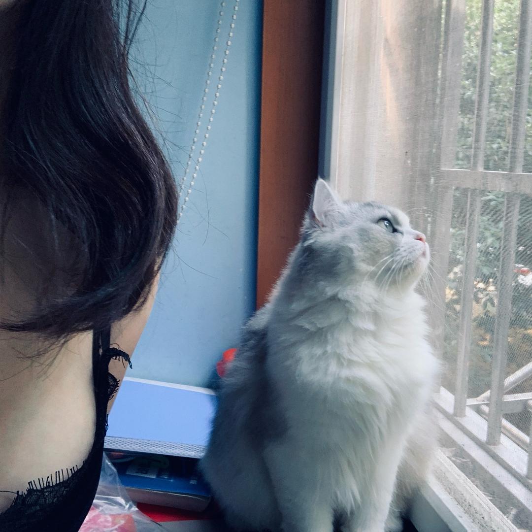 腿腿