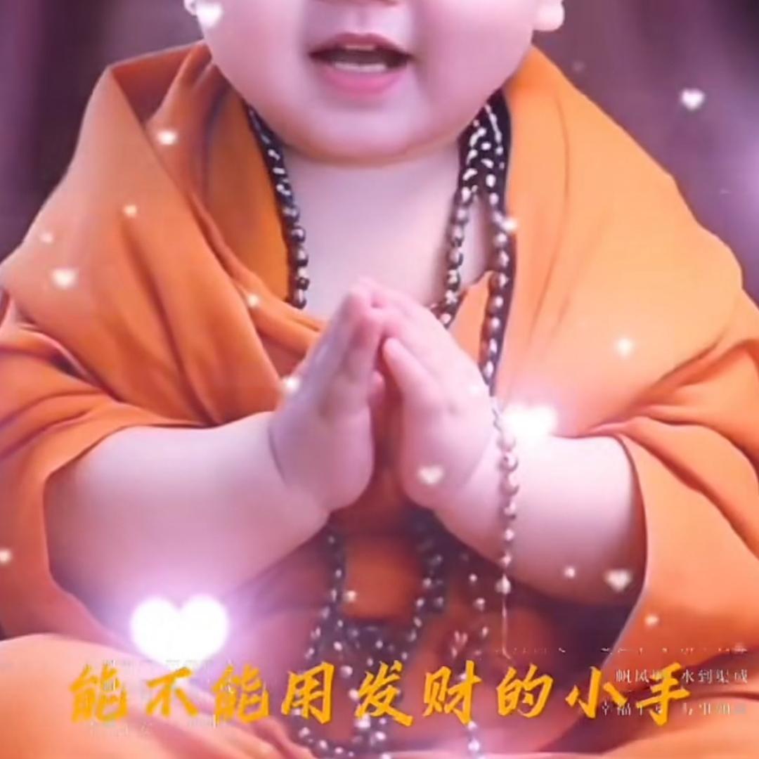 龙兄