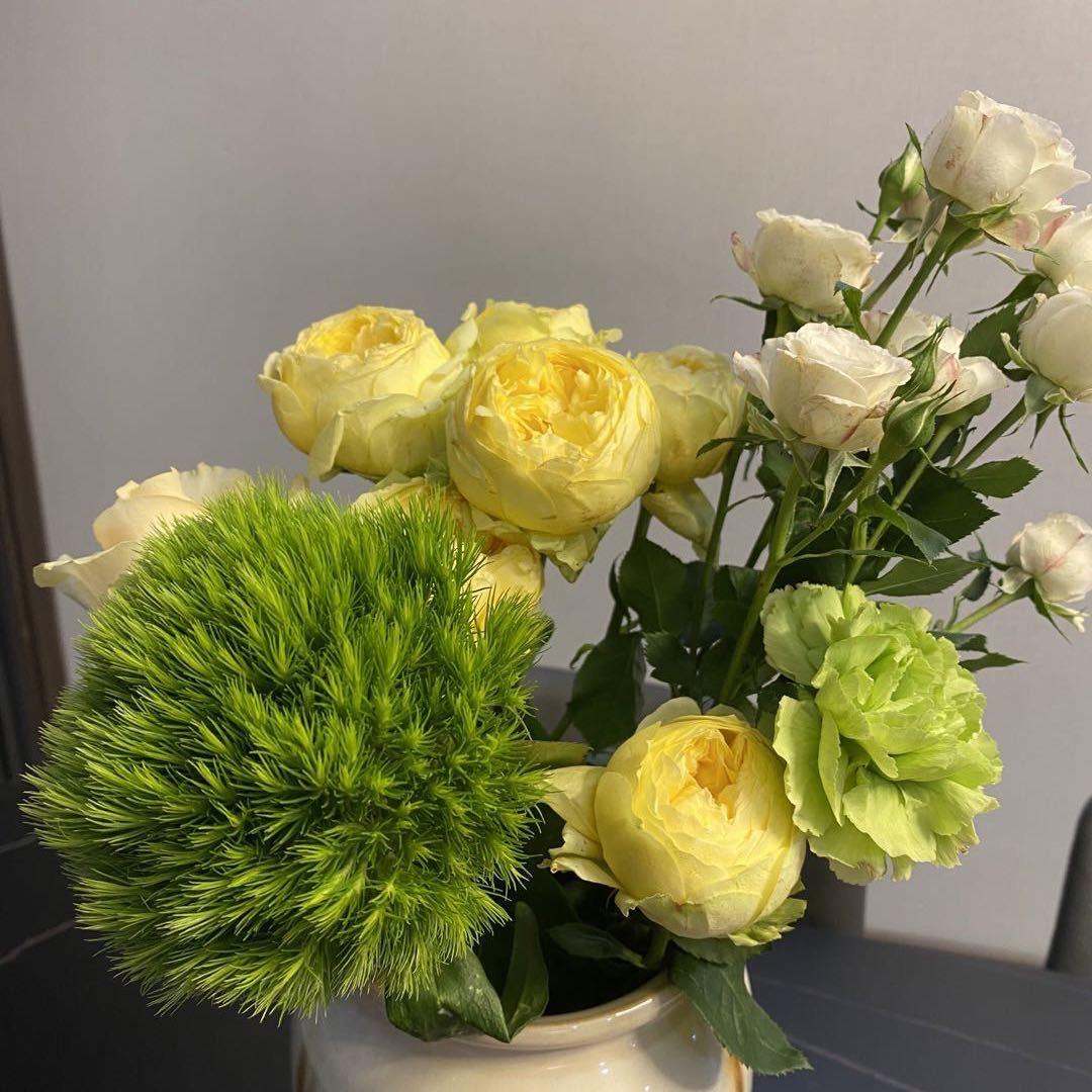 L女士（减肥中）