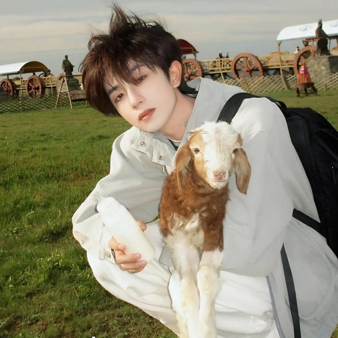 辰辰吃不饱✨（滚）