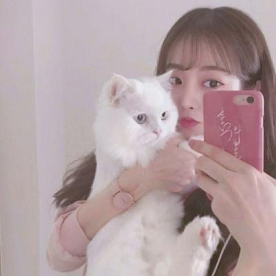 三心二利于喵宠物