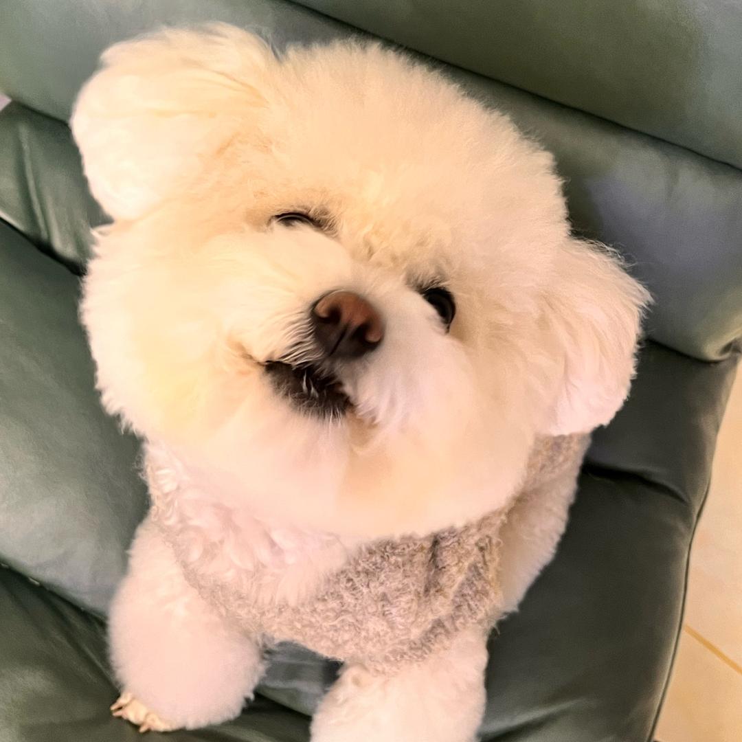💞小七和约弟