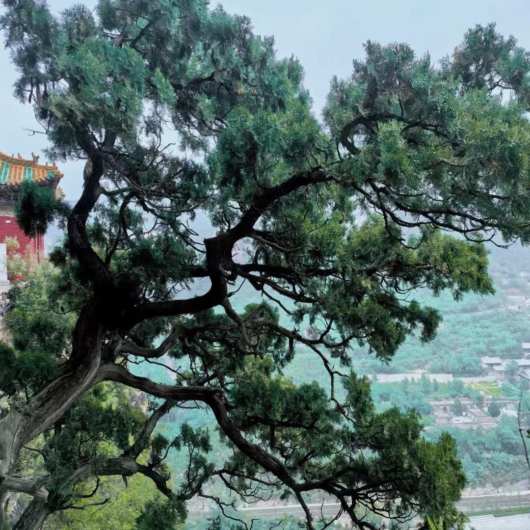 香水