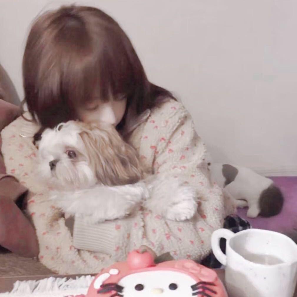 我以为我是你的骄傲