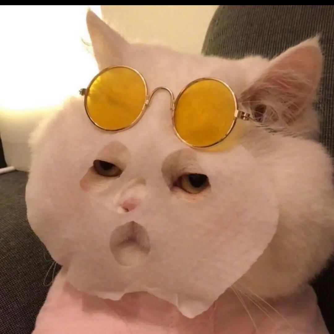 YAN