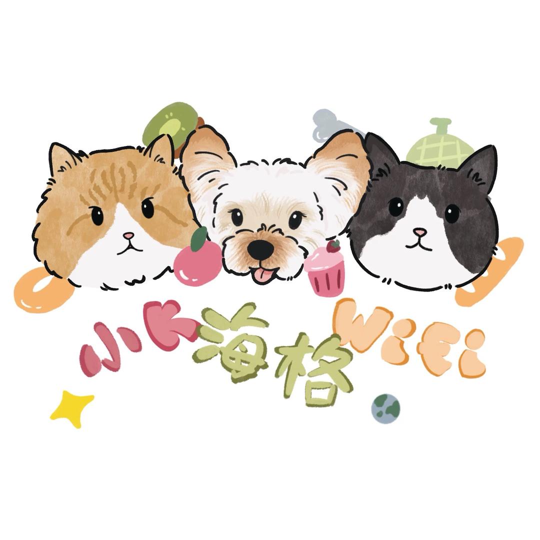 矮脚只会布