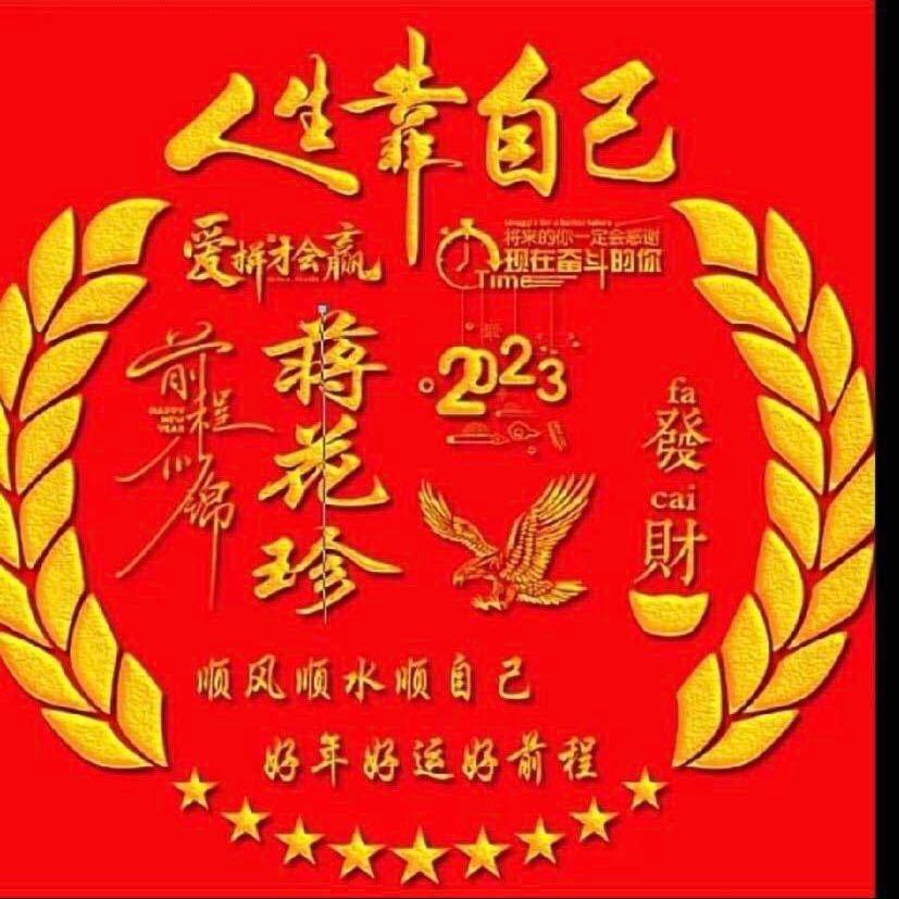 会飞的鱼