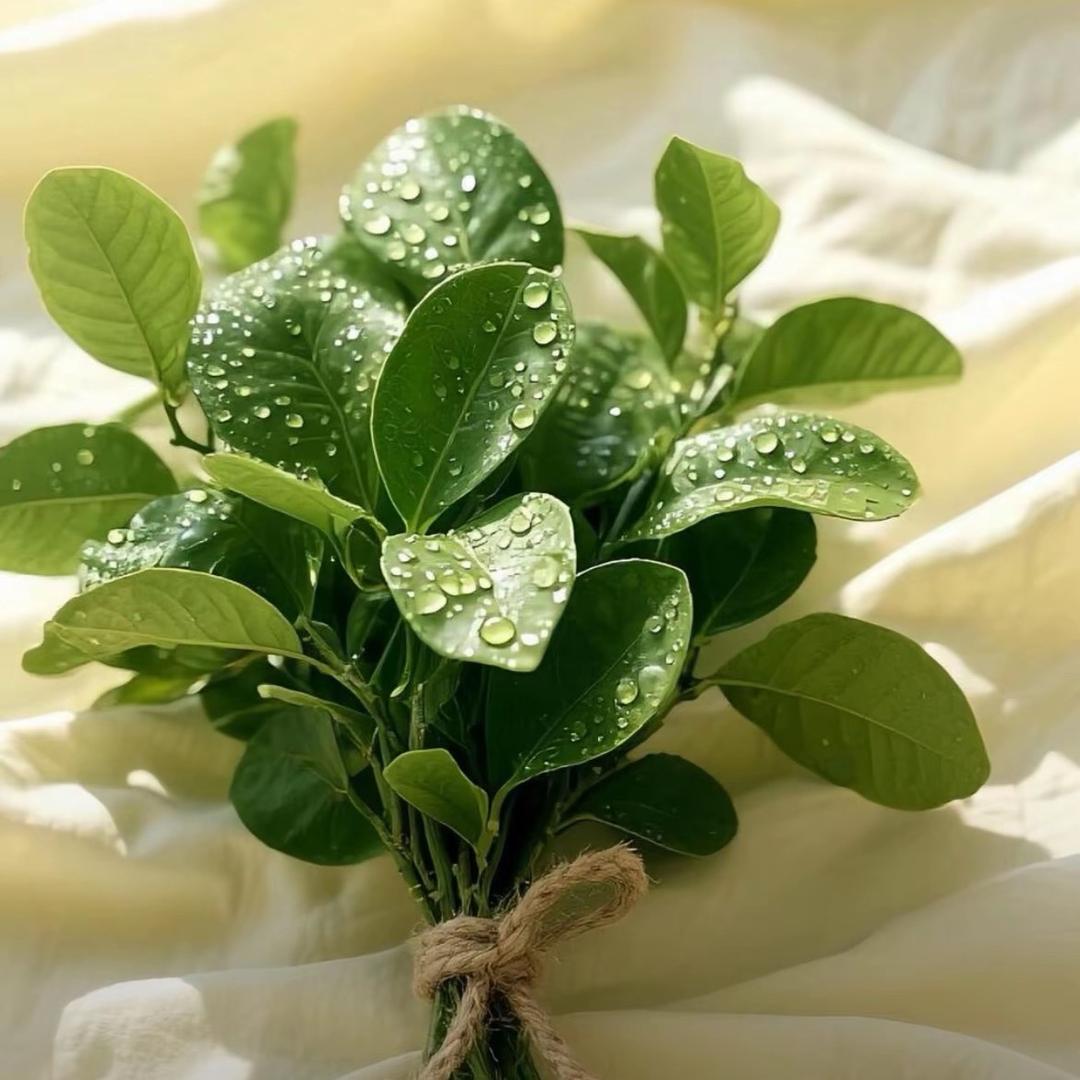 为什么骗我哈夫币