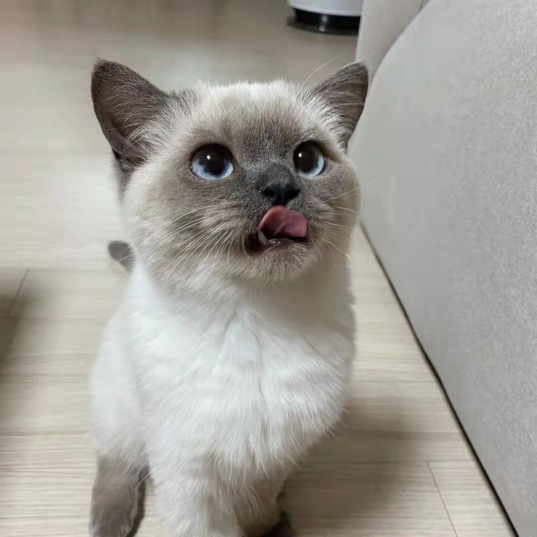 又回到最初的起点