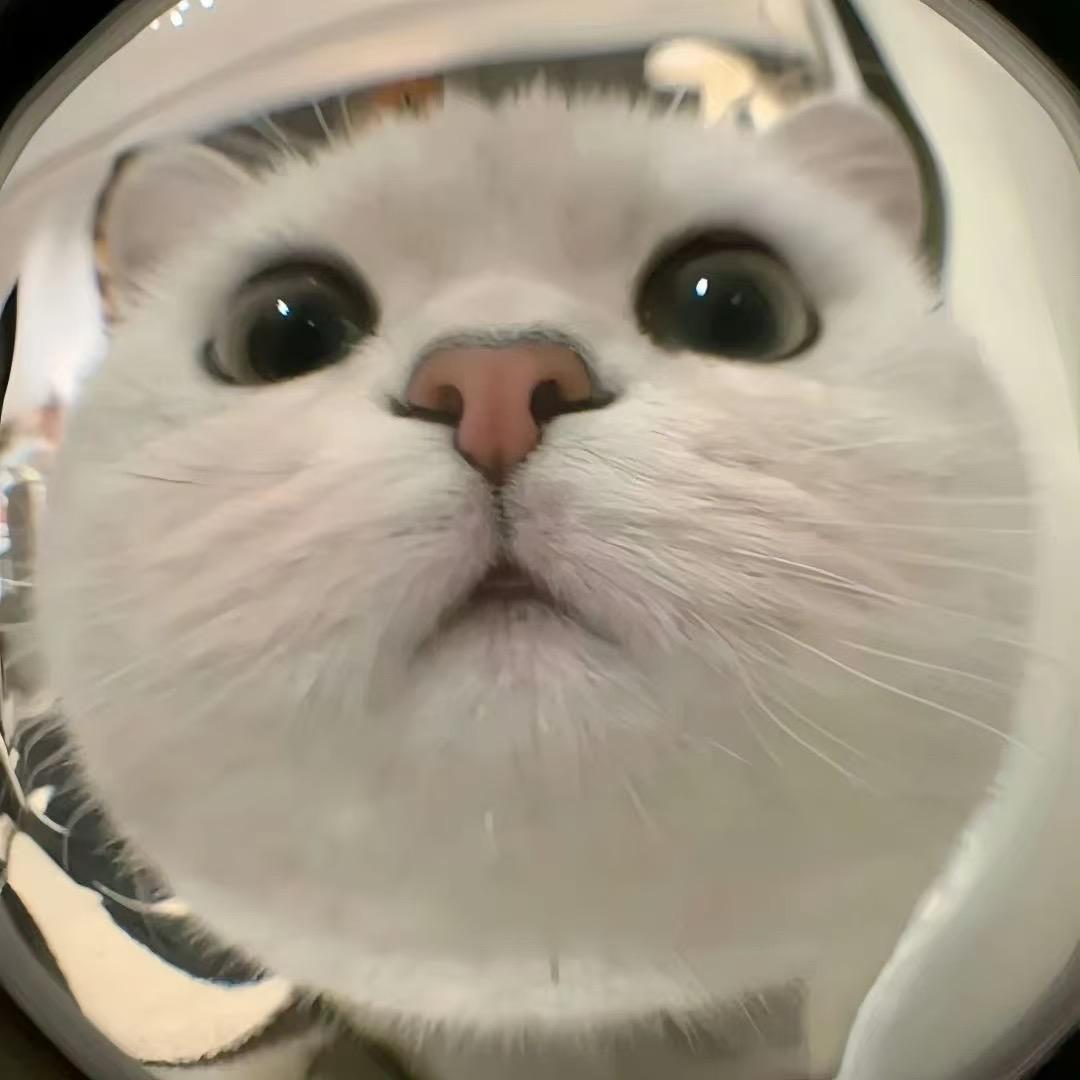青黛