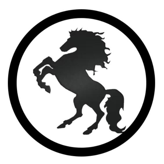 保定黑马代驾服务有限公司