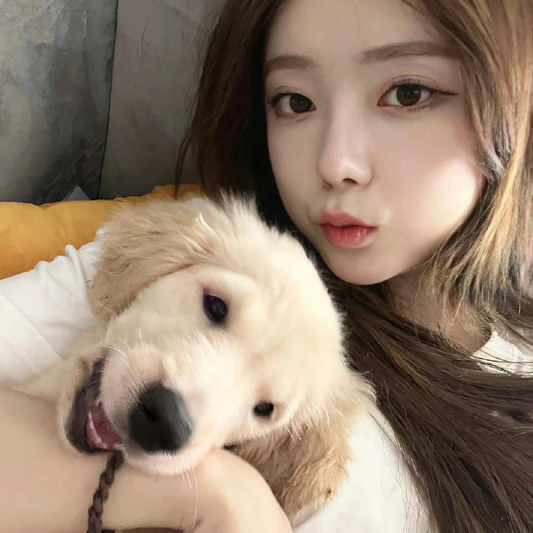 七七吧