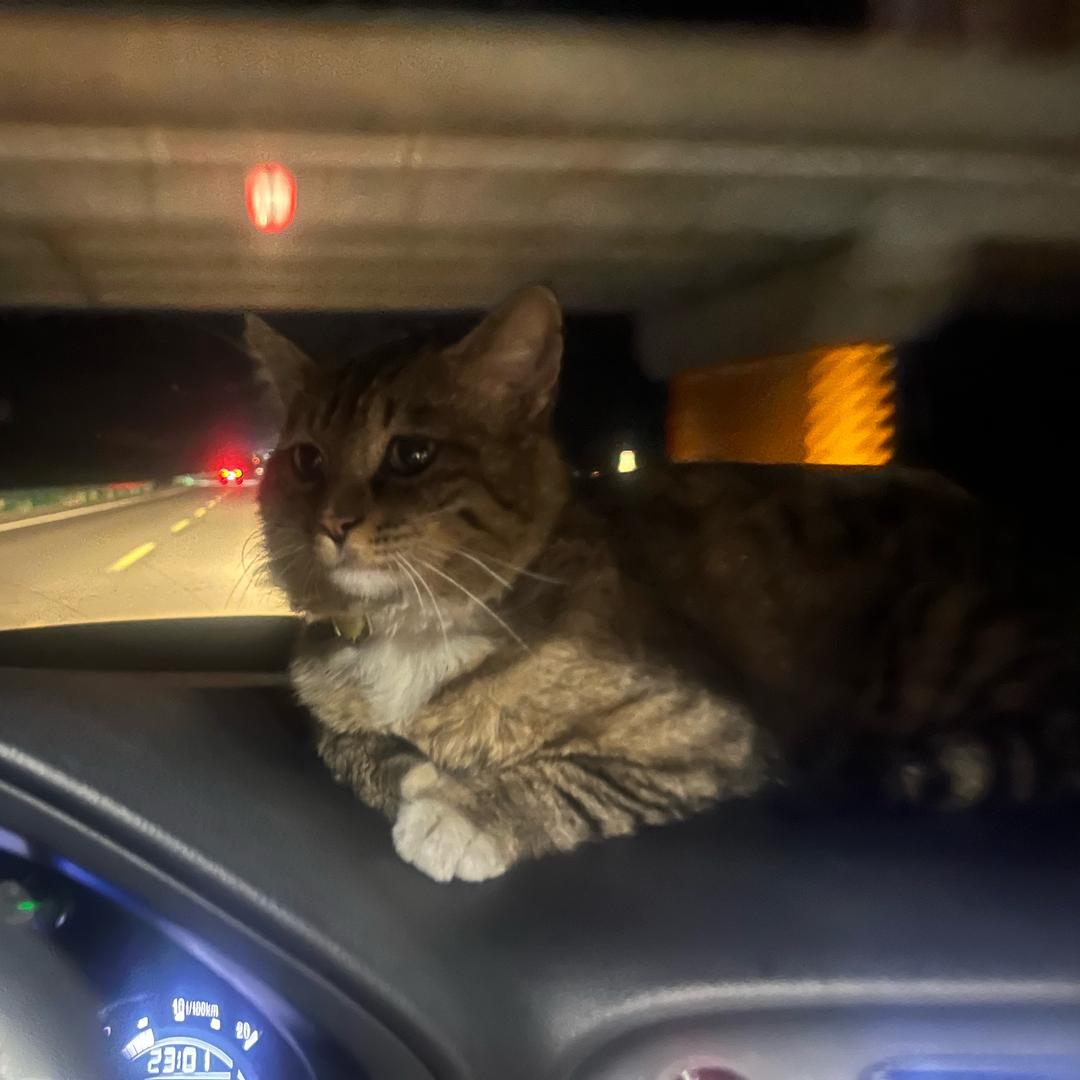 ㅤㅤㅤㅤ ㅤ ㅤ ㅤㅤㅤㅤ ㅤ ㅤ ㅤㅤ