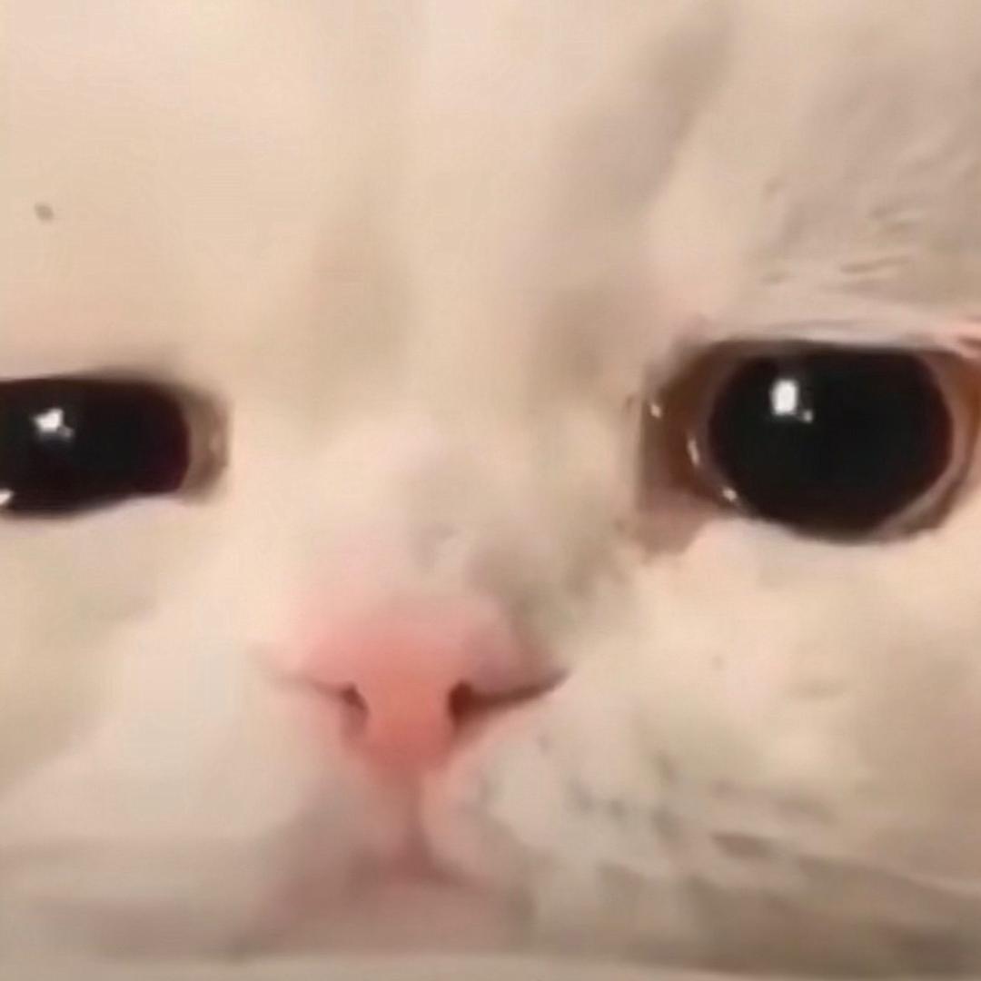 不不卡卡
