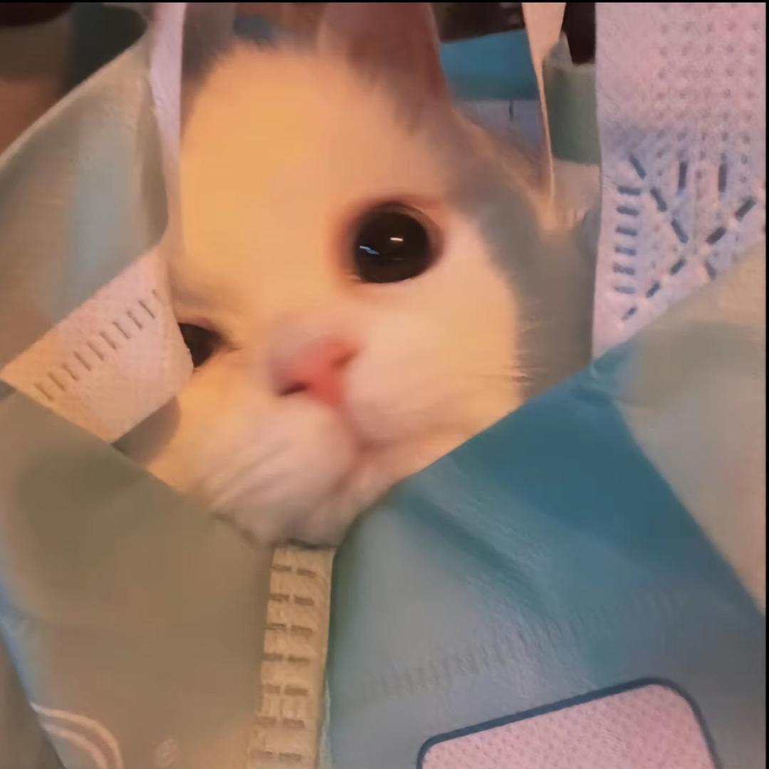 阅月