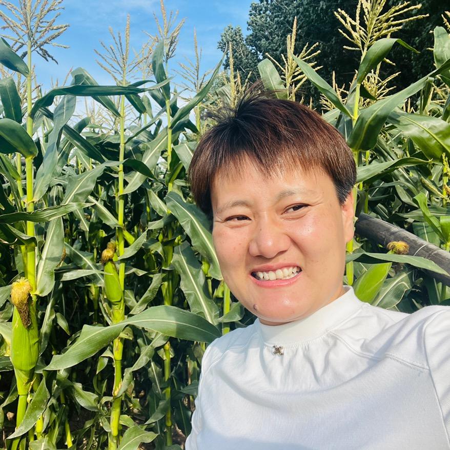 卖菜的圈姐