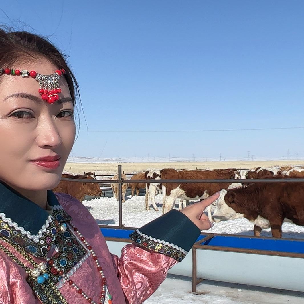 牧锡都牛羊肉店