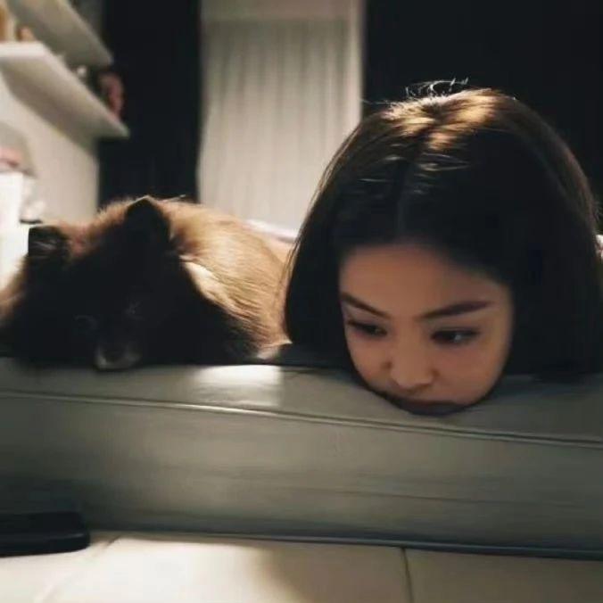 狡猾的巧克力