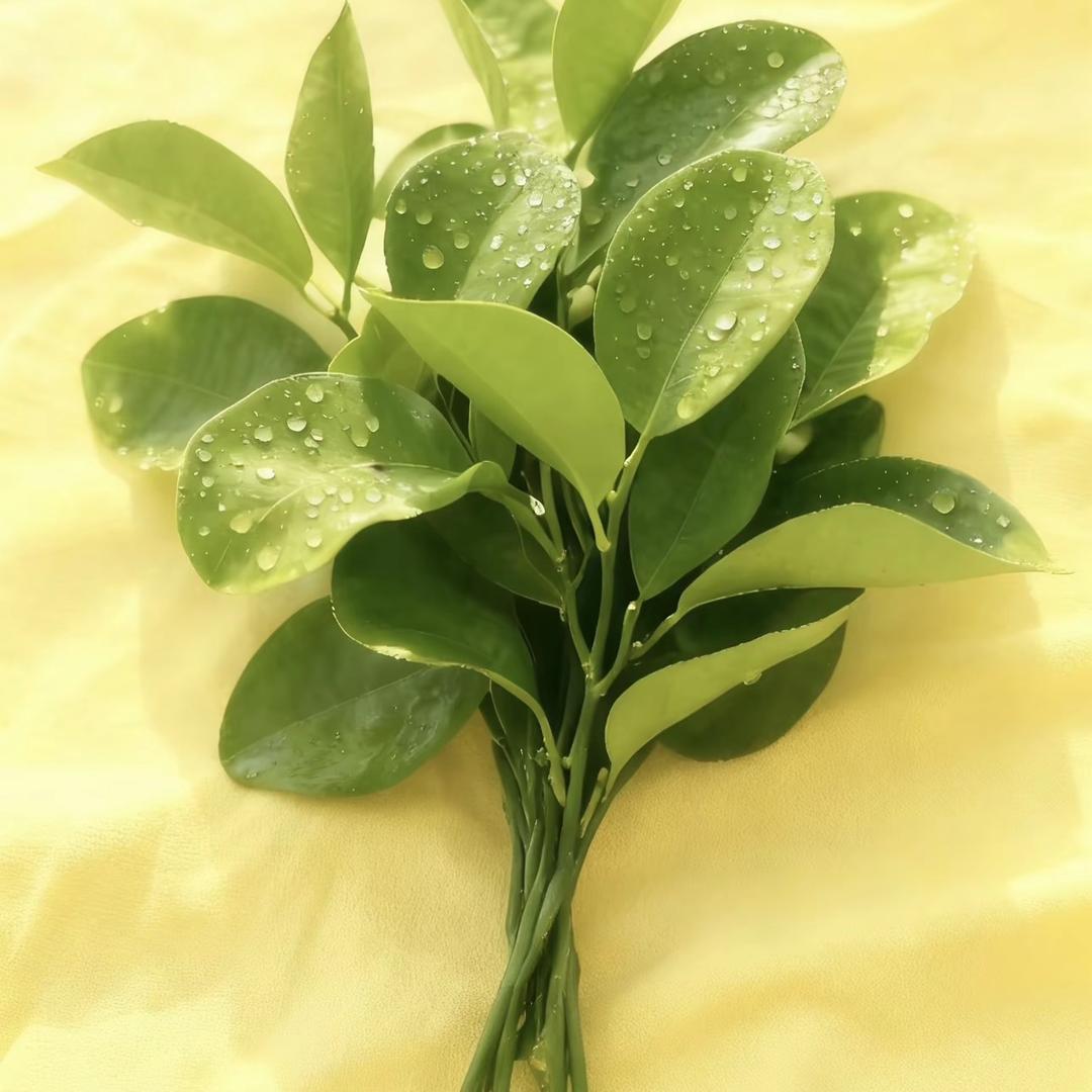 姝尔女王卫生巾护理店