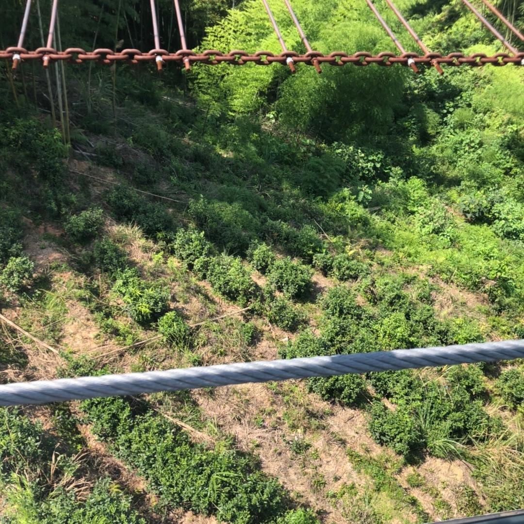一米@阳光