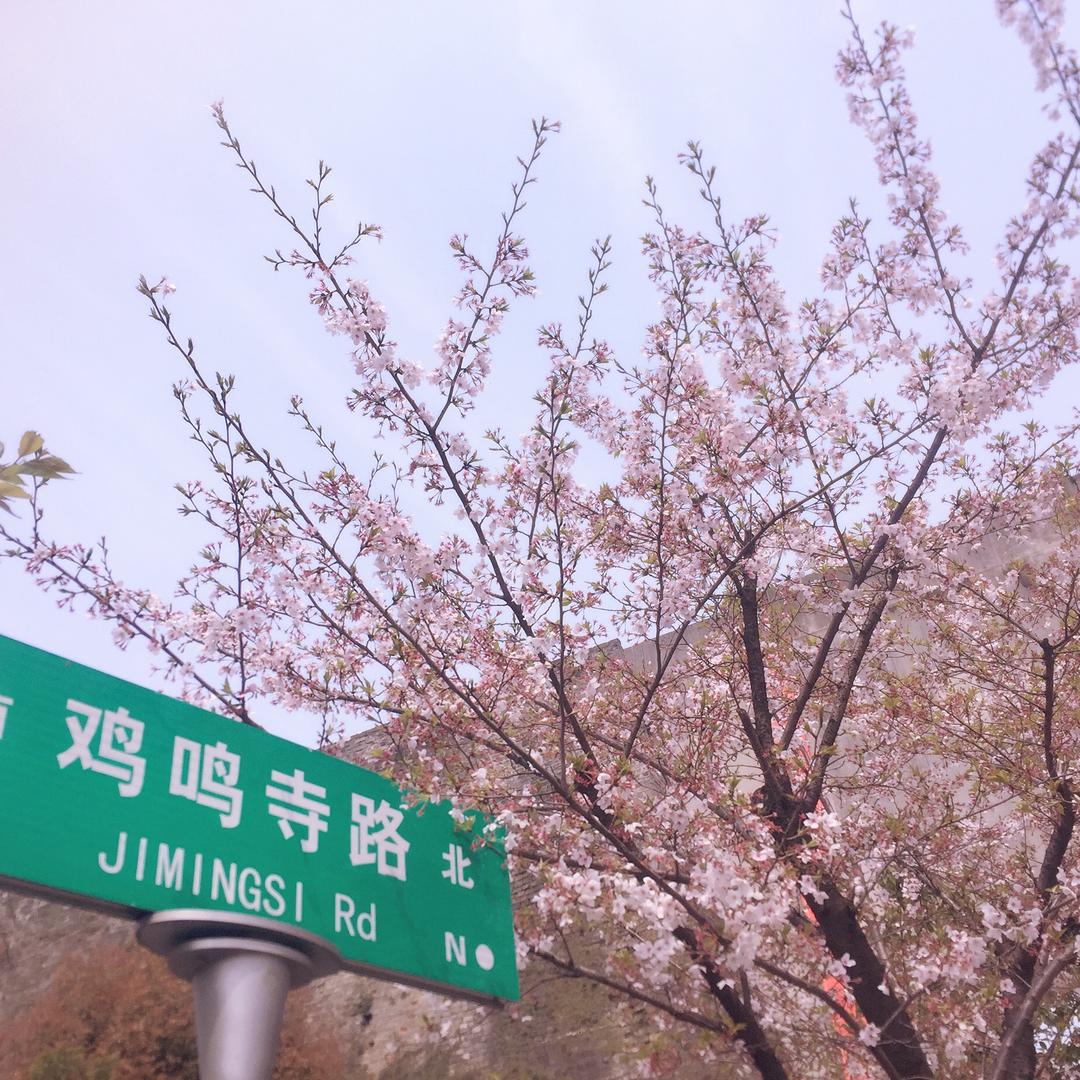 秦老师说中考