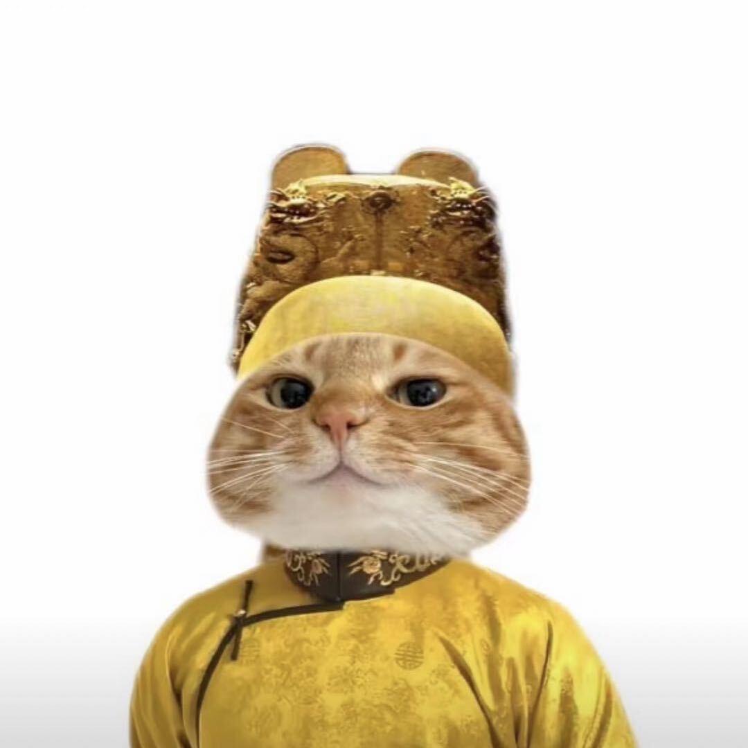 *椰汁儿🥥