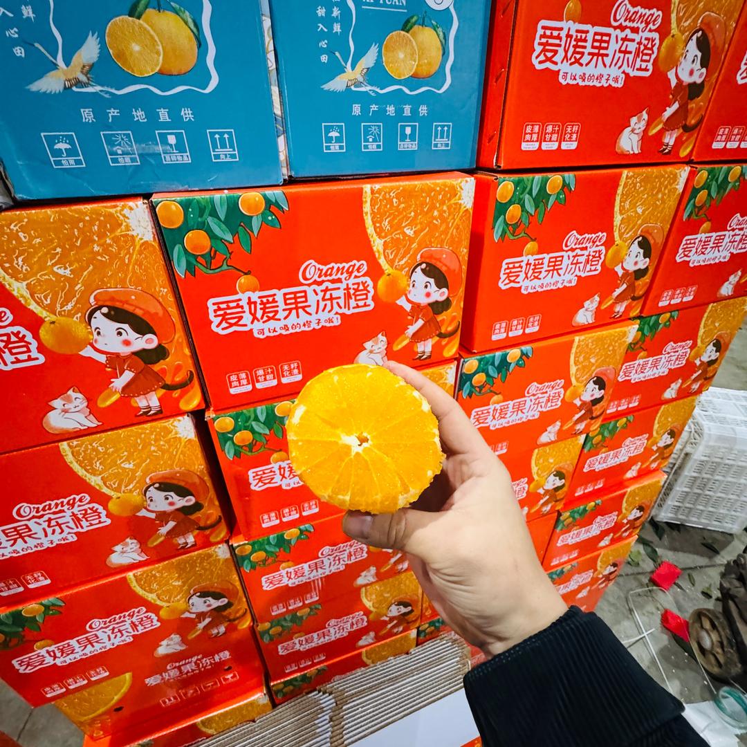 果蔬供应