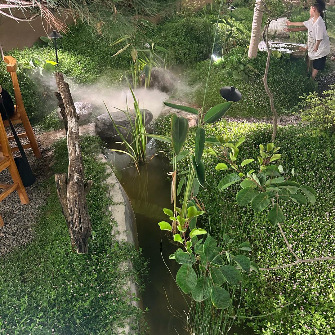 💰多资多财🍎