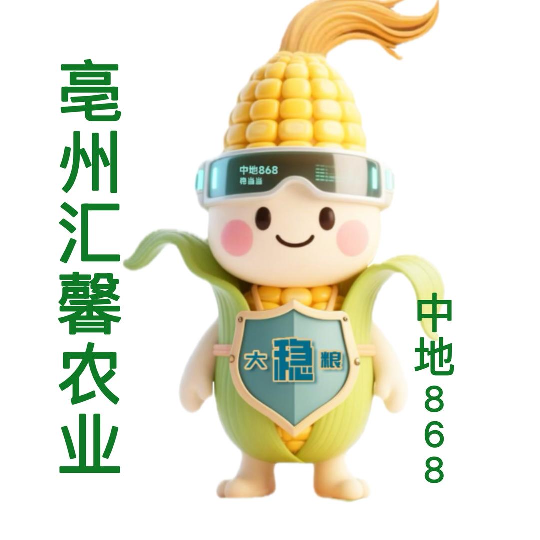大稳粮中地 868 汇馨农业--宋晨