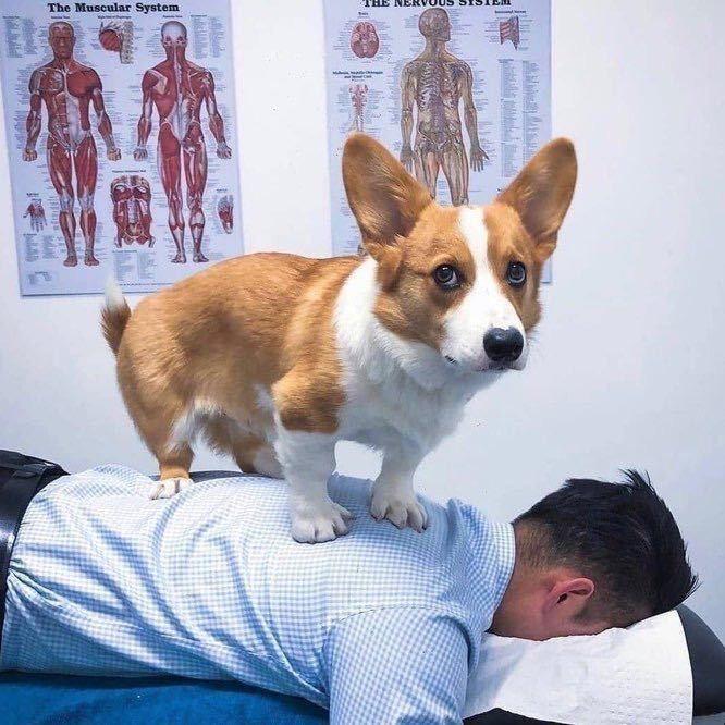 西本