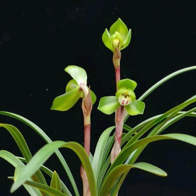 （╰ァ蕗亾曱）