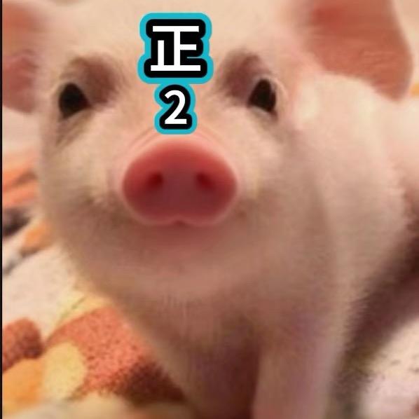 厕所点火👀互喷