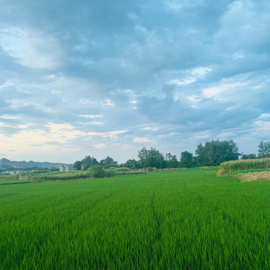 往那一站回首往昔