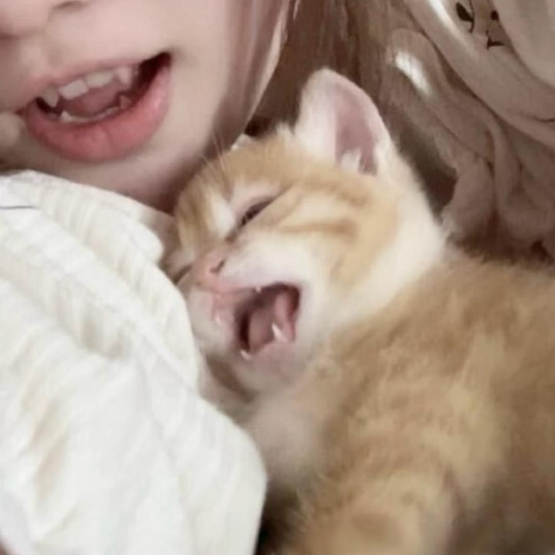 小骨