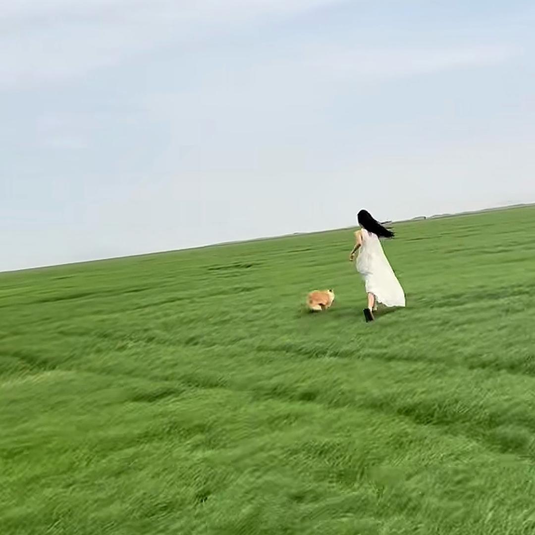 云南旅游助手小智（云静国际旅行社)