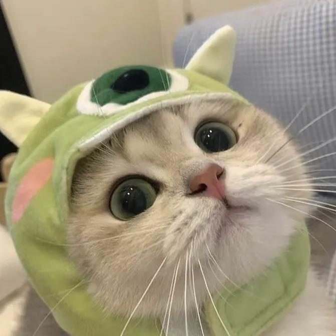 允禾（好物分享）