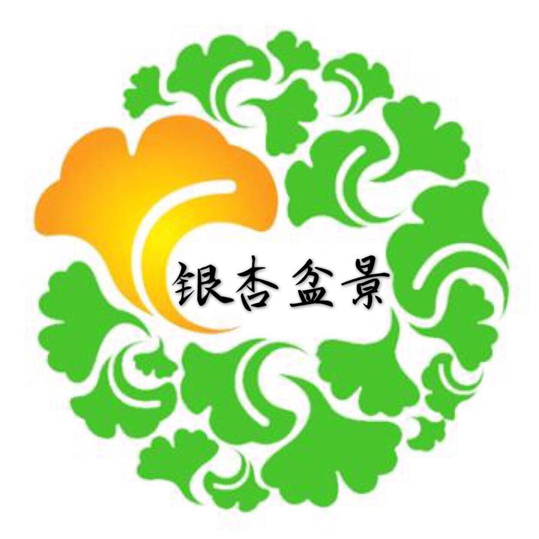 银杏盆景园