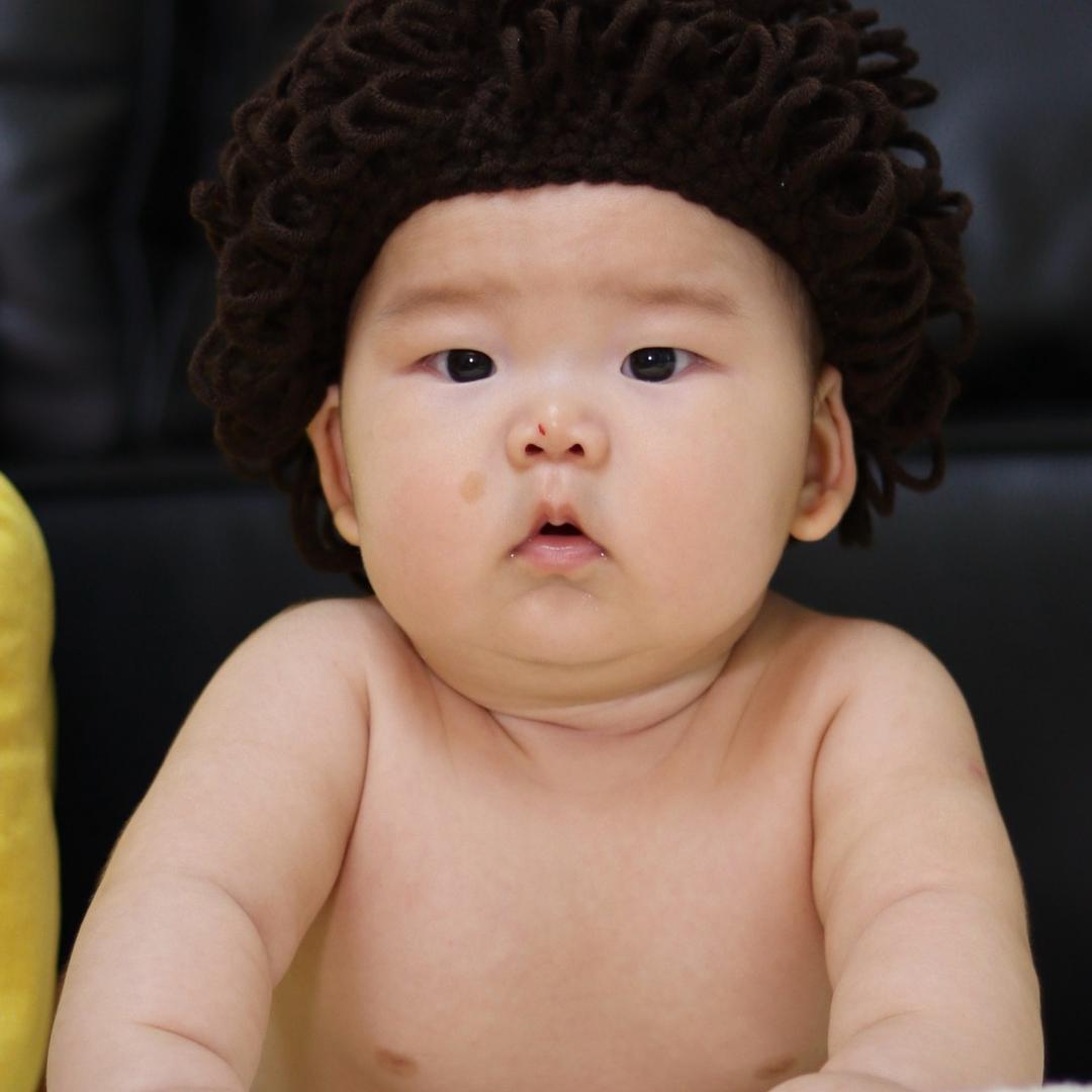 一只茴香崽👦