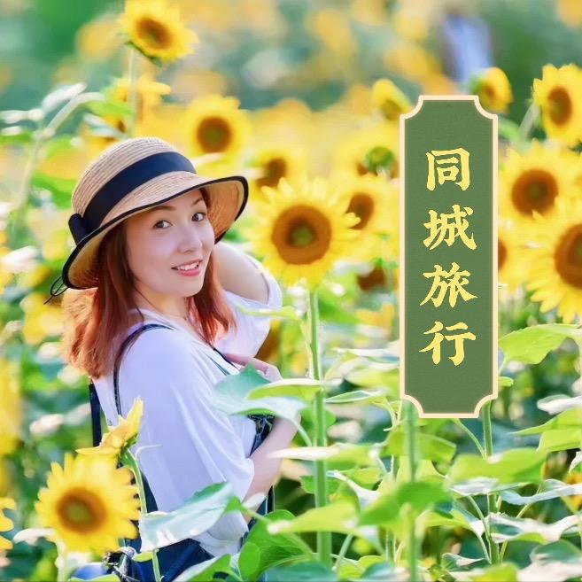 同城旅行攻略