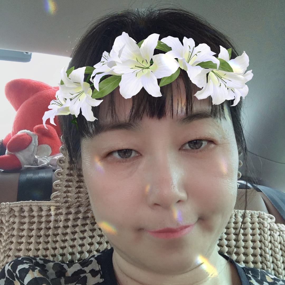 永恒猫