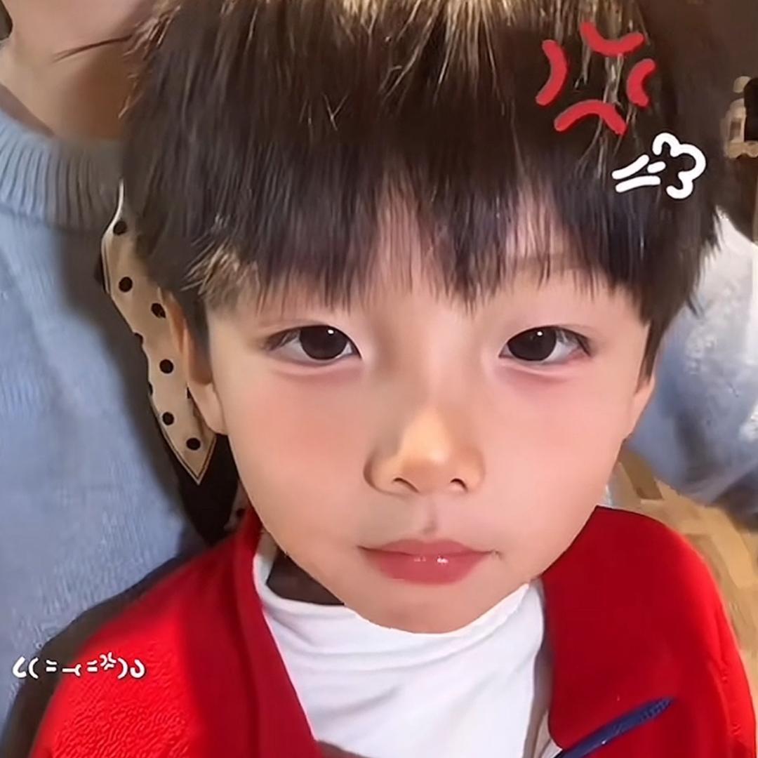 小小霸王龙🦖
