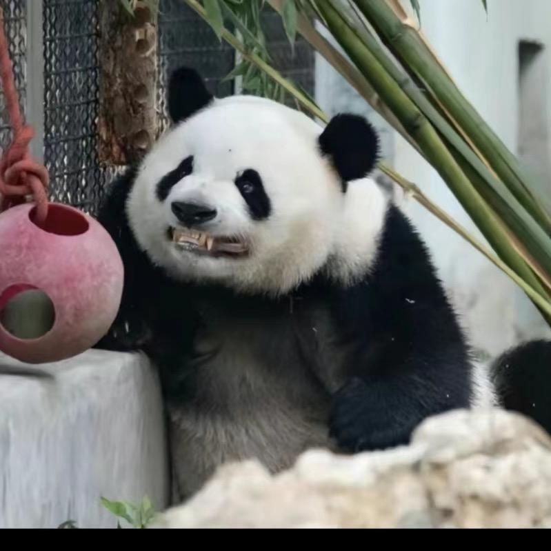 男人不狠，站不稳。