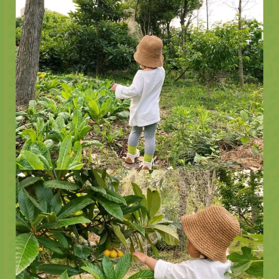 二姑家家庭农场基地