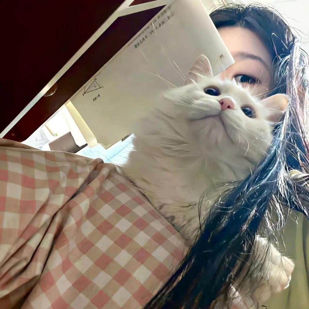 小咪