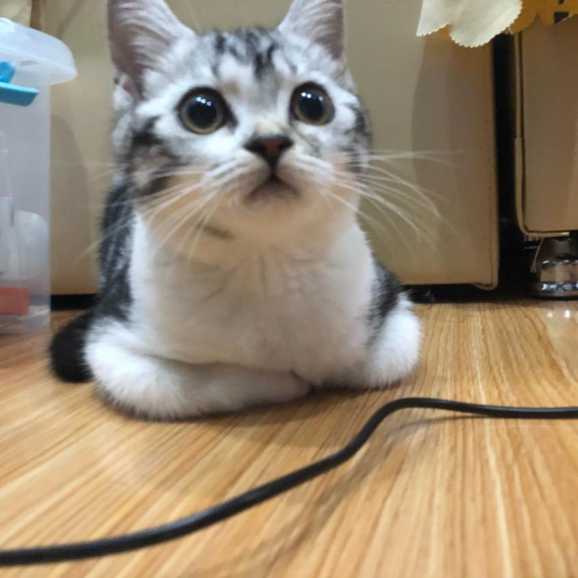 爱钓鱼的网约车司机