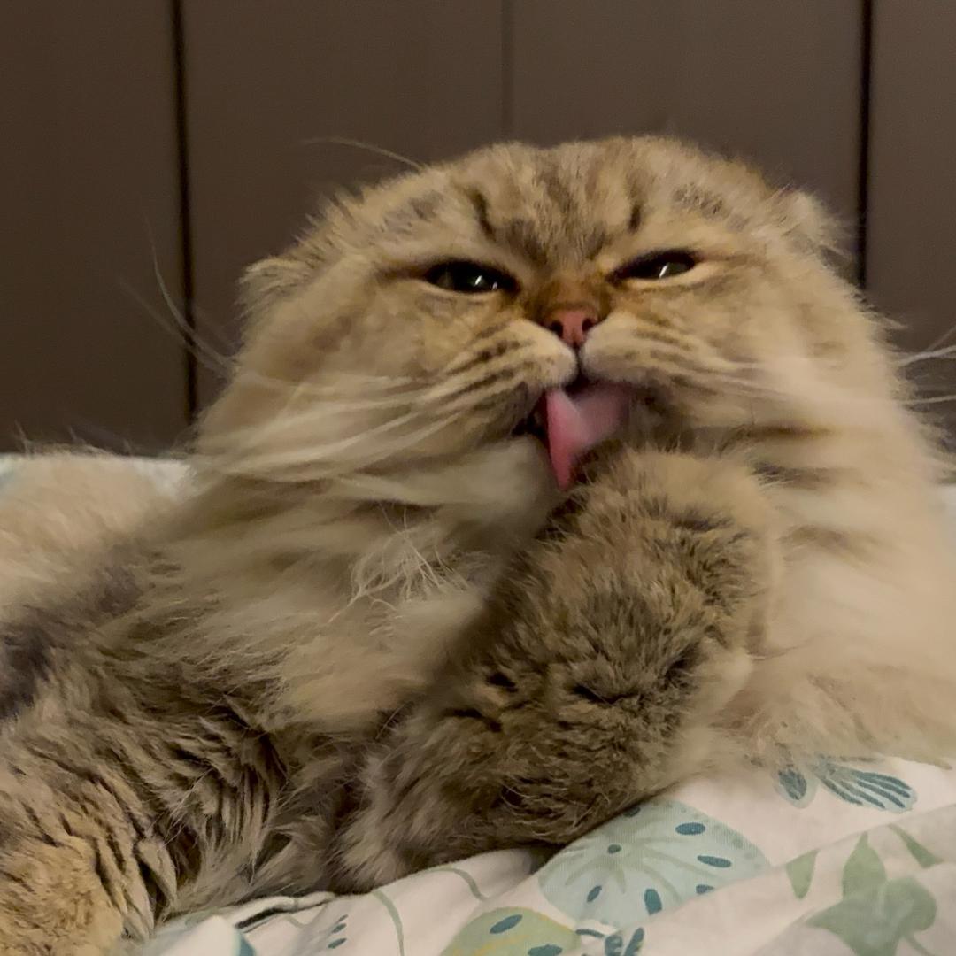 DŌNG